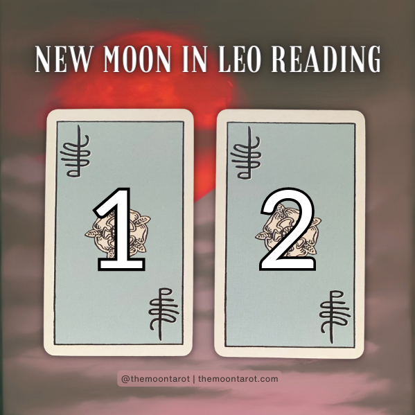 10 Things I Wish I Knew About Moon Reading