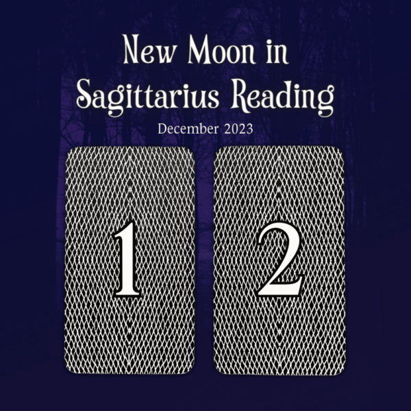 new moon in sagittarius tarot reading | december 2023