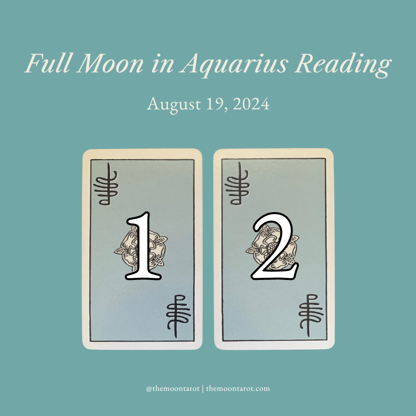 Full Moon in Aquarius Reading | August 2024 | The Moon Tarot