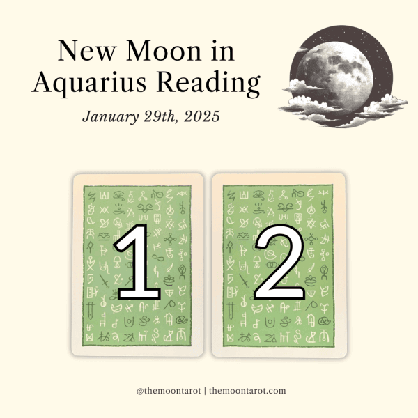 new moon in aquarius reading | february 2024 (copy)