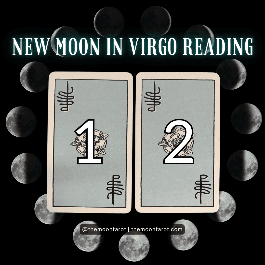 new moon in virgo reading | august 2025