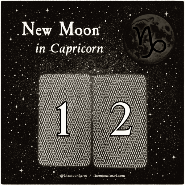 new moon in capricorn reading | january 2025